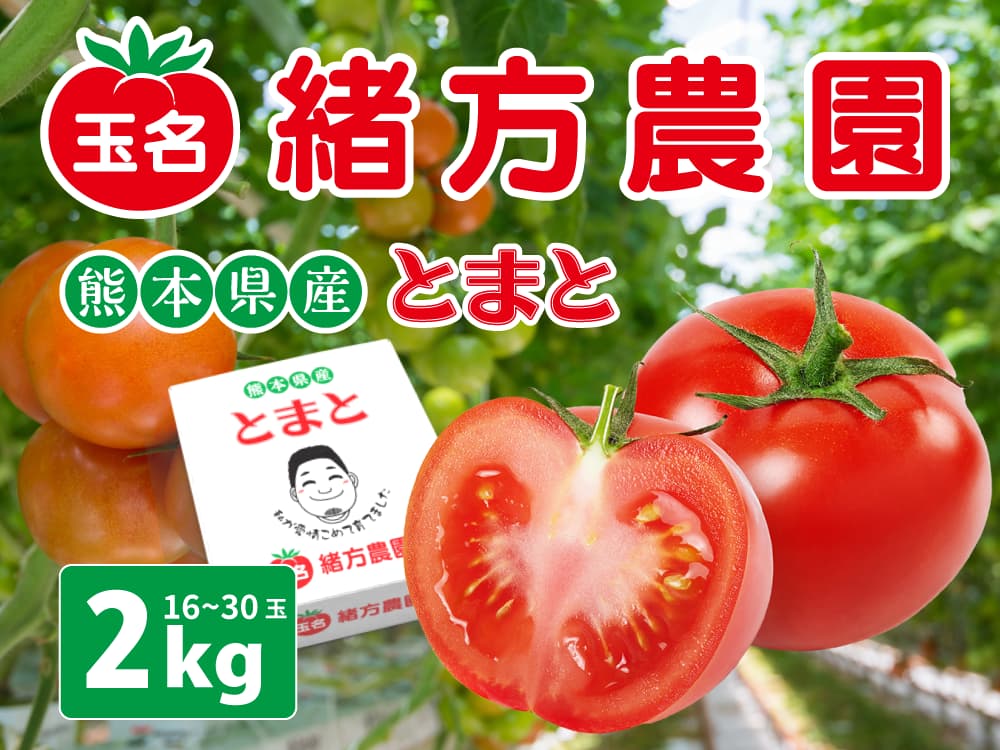 熊本県産 玉名の隆唐トマト ２kg 緒方農園 どこたま 伴走型小規模事業者支援推進事業