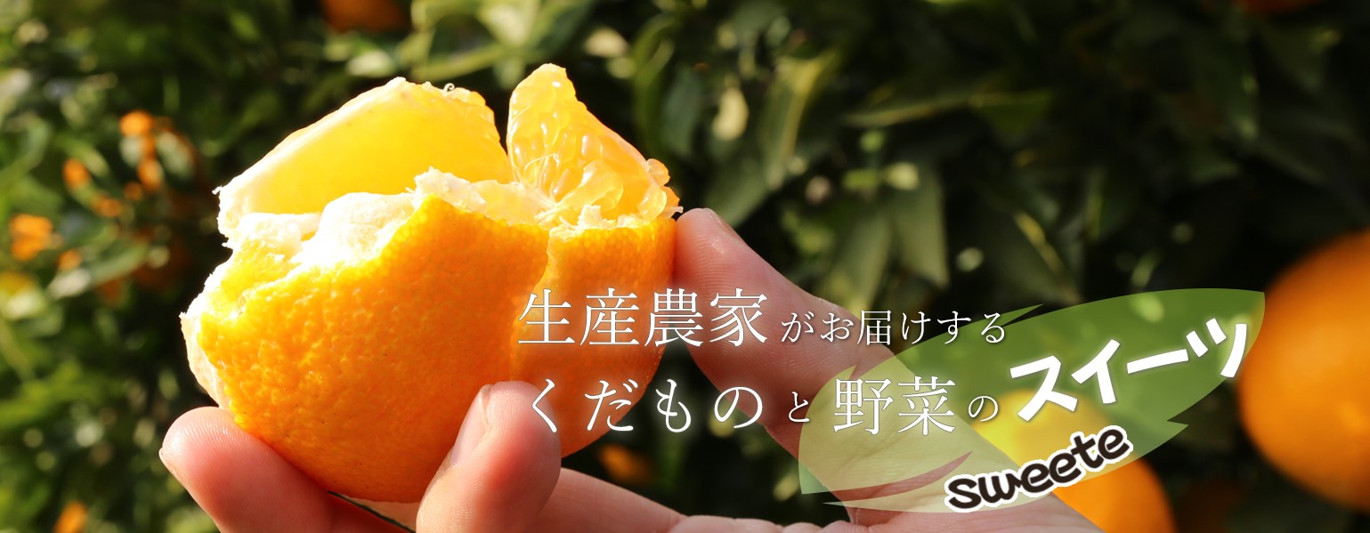 柑橘ドライセット